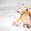 「犬と私の10の約束　試写会」当選