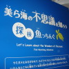 ハイビジョン美ら海水族館