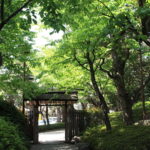 八芳園で日本茶のお手前体験