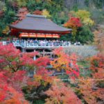 【京都】晩秋の京都 2泊3日の旅
