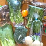 「旬＆カラフル「東京野菜」セット」当選